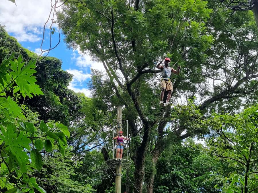 Rio de Janeiro: Zip Lining and Canopy Tree Tour - Getting there: pickup and timing in Rio