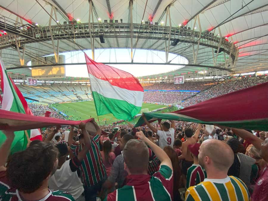 Rio: Fluminense Match at Maracanã with Guide and Ticket - Key takeaways before you go