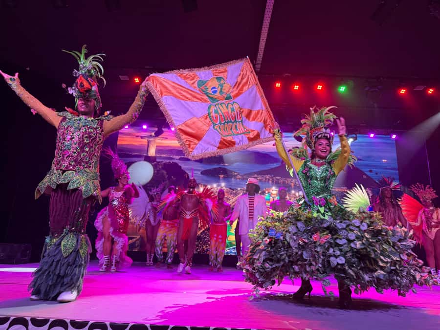 Rio: Ginga Tropical Samba and Folklore Show Ticket - Price and value: is $61 a good deal for a live production?