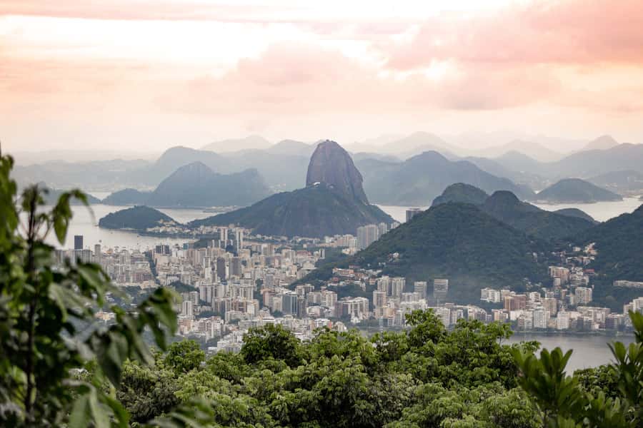 Rio: Half-Day Jeep Tour at Floresta da Tijuca - Key Things You’ll Notice