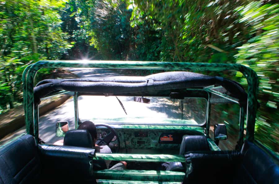 Rio: Half-Day Jeep Tour at Floresta da Tijuca - Capela Mayrink and the Two Easy Trail Segments