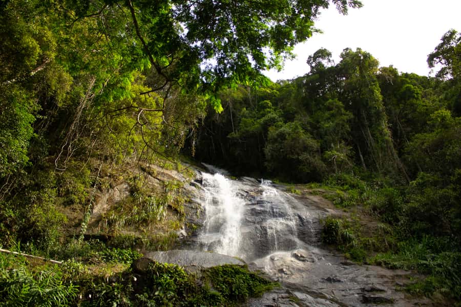 Rio: Half-Day Jeep Tour at Floresta da Tijuca - São Conrado Beach: Hand-Gliders as Your Scenic Finale