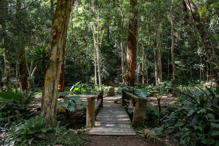 Rio: Half-Day Jeep Tour at Floresta da Tijuca - Guides and Drivers: The Real Reason People Love This Tour