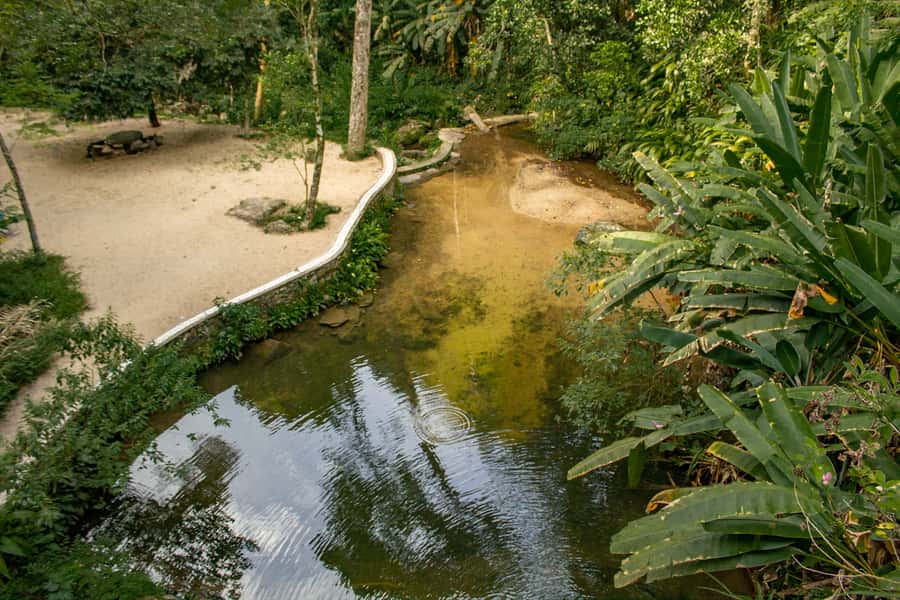 Rio: Half-Day Jeep Tour at Floresta da Tijuca - Price and Value: Is $60 for 4 Hours a Good Deal?