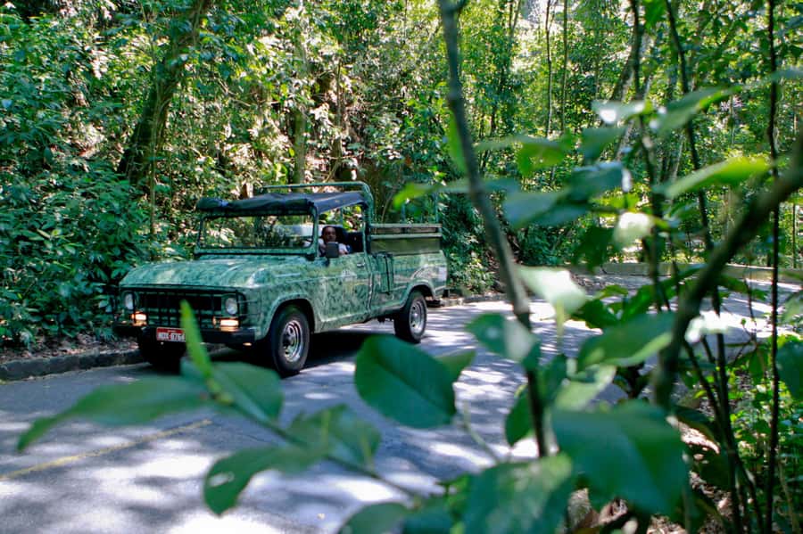 Rio: Half-Day Jeep Tour at Floresta da Tijuca - Riding in a Military-Style Open Jeep Changes the Whole Feel