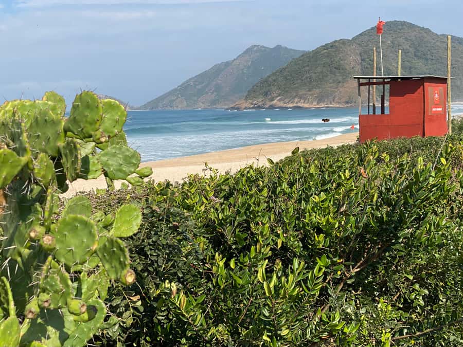 Rio: Pedra do Telégrafo Hiking & Relax in a Wild Beach - Should you book this Pedra do Telégrafo + Grumari Beach tour?