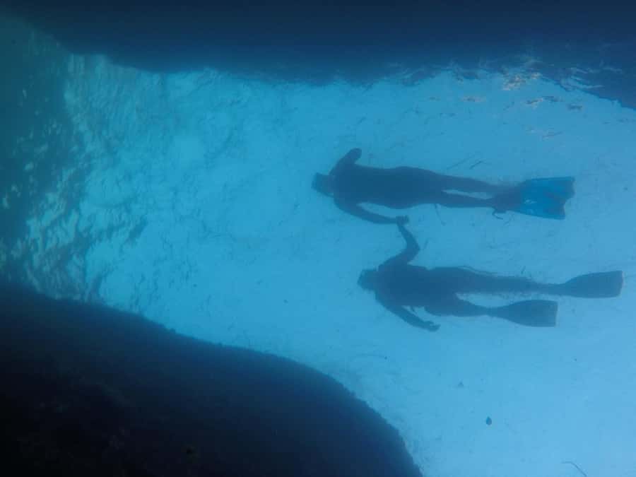 Rio: Snorkel & Swim with Turtles Tour at Tijuca Islands - Key reasons this Tijuca Islands tour works so well