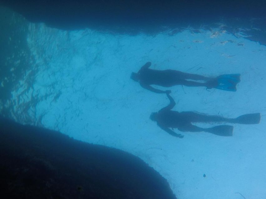 Rio: Snorkel & Swim with Turtles Tour at Tijuca Islands - Timing: how to fit this into your Rio day without feeling rushed