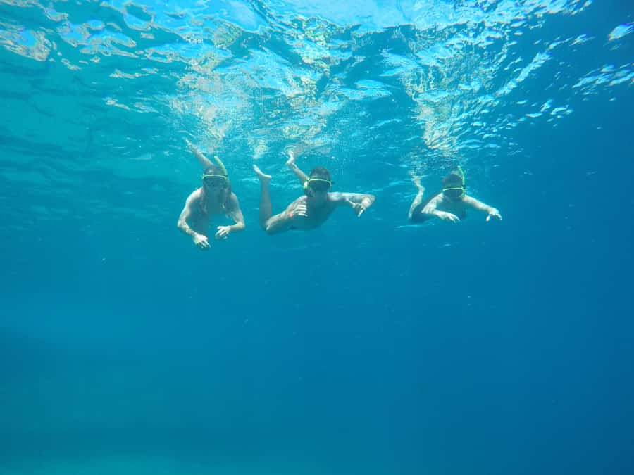 Rio: Snorkel & Swim with Turtles Tour at Tijuca Islands - Why Tijuca Islands snorkeling is a smart Rio morning