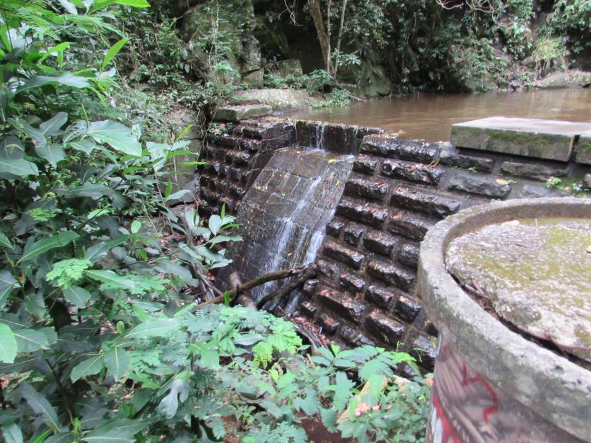 Rio: Tijuca Forest & Horto Waterfalls Circuit Tour - Key things I’d watch for before you go