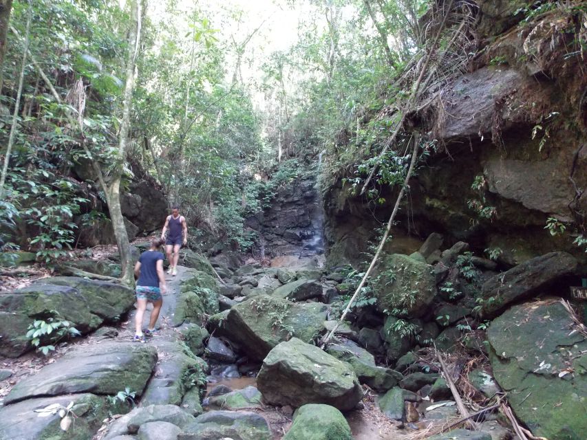 Rio: Tijuca Forest & Horto Waterfalls Circuit Tour - Why Tijuca’s Horto Waterfalls feel like a mini adventure