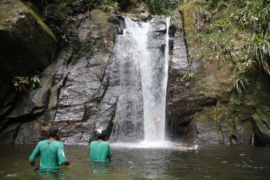 Rio: Tijuca Forest & Horto Waterfalls Circuit Tour - Stop-by-stop: what each part of the circuit feels like
