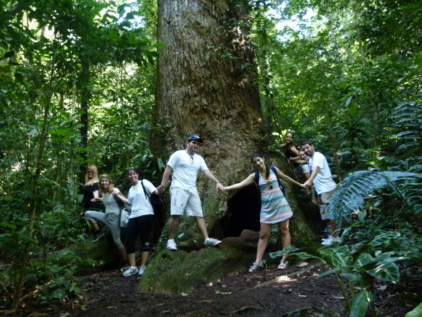 Rio: Tijuca Forest & Horto Waterfalls Circuit Tour - What to pack for a real shower (not just photos)