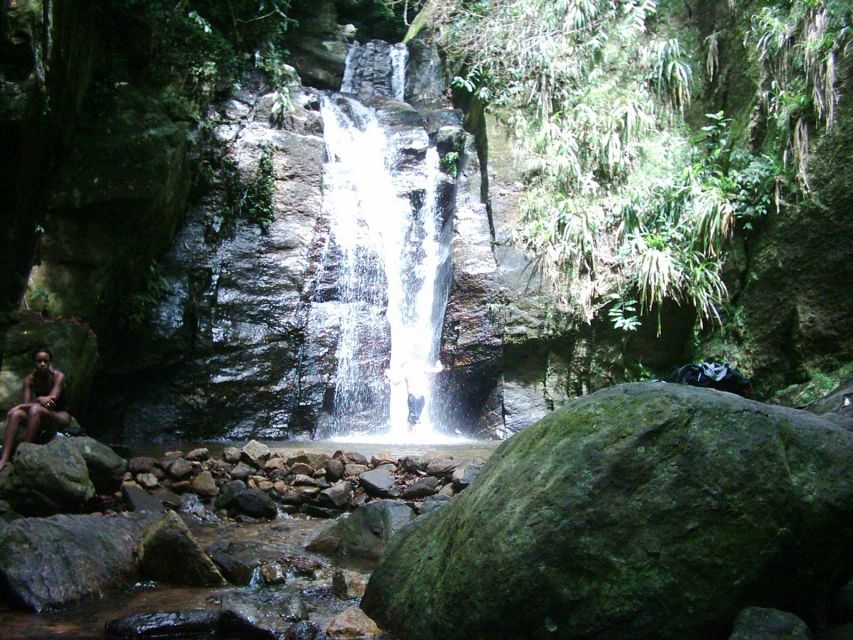 Rio: Tijuca Forest & Horto Waterfalls Circuit Tour - Price and value: $56 for a guided forest circuit