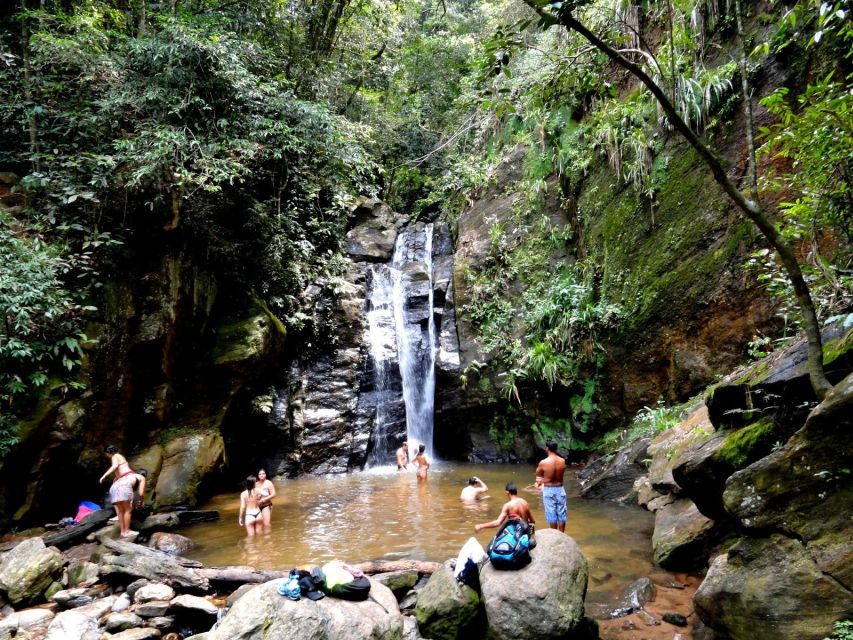 Rio: Tijuca Forest & Horto Waterfalls Circuit Tour - Should you book Rio’s Tijuca & Horto waterfall circuit?