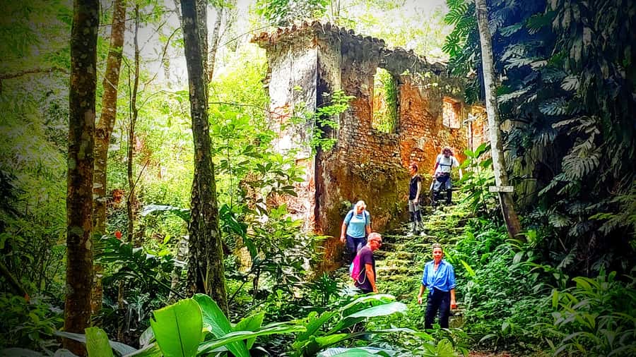 Rio: Tijuca Forest Small Group Hike to Caves and Waterfalls - Key highlights to expect