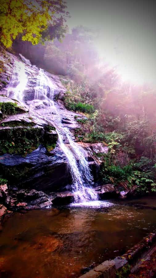 Rio: Tijuca Forest Small Group Hike to Caves and Waterfalls - Baronesa Cascade: the waterfall shower moment