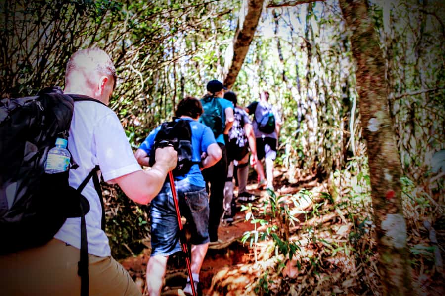 Rio: Tijuca Forest Small Group Hike to Caves and Waterfalls - Mayrink Chapel (1850): old stone under green canopy