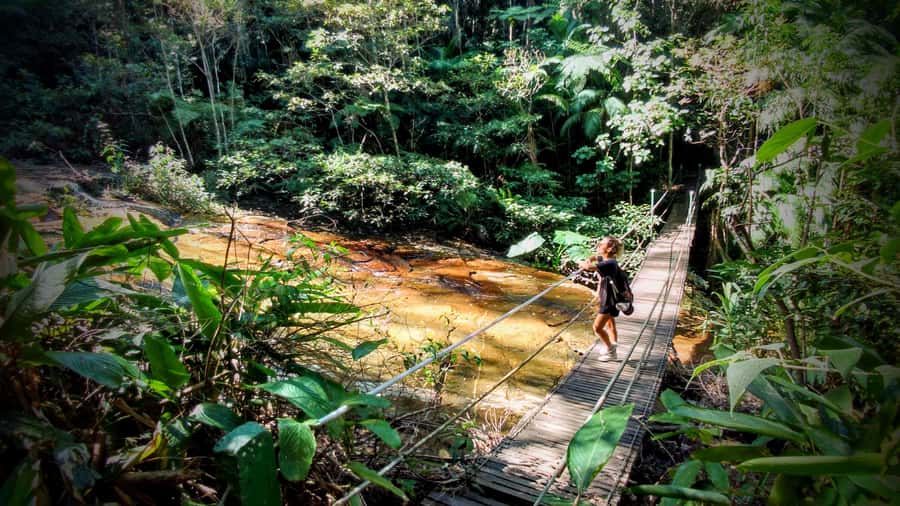 Rio: Tijuca Forest Small Group Hike to Caves and Waterfalls - The hike specs that really matter (6.2 km, 448 m gain)