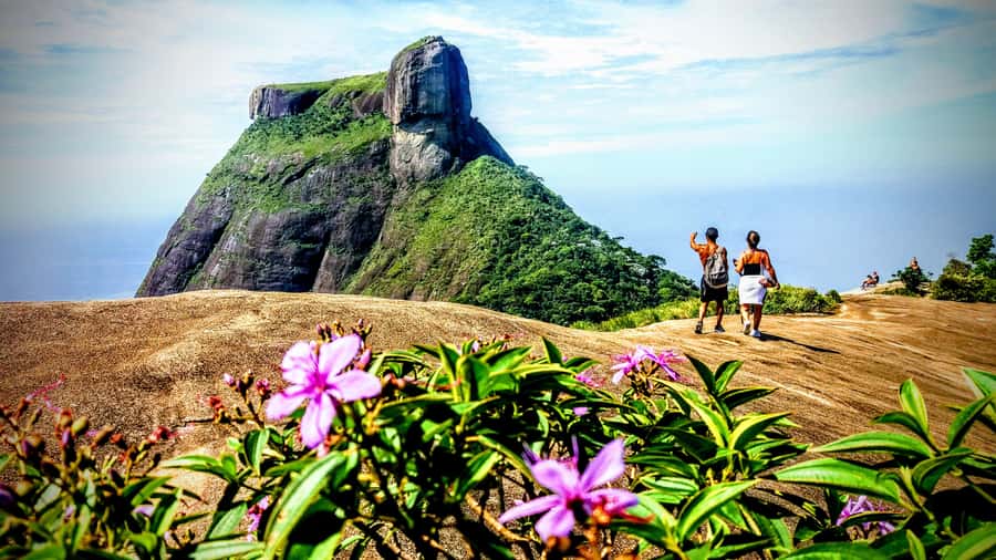 Rio: Tijuca National Park Small-Group Hike to Pedra Bonita - What to Bring (and What Not to) for a Trouble-Free Hike