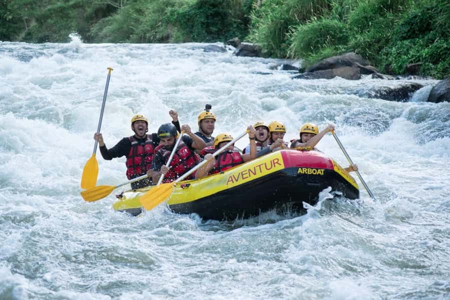 Rio: White Water Rafting Adventure tour in Rio de Janeiro - Atlantic rainforest vibes: wildlife spotting without trying too hard