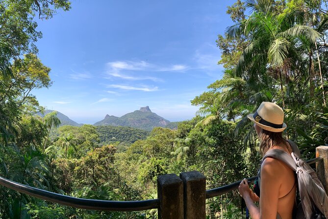 Tijuca Forest Hike - Waterfalls & Caves, Nature & Wild Life! - Key highlights you’ll remember
