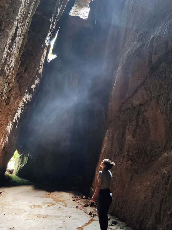Tijuca Forest´s hike: caves, waterfalls and great views - Key highlights you will care about