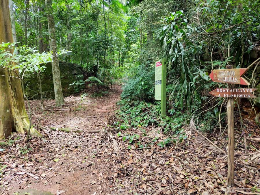 Tijuca Forest´s hike: caves, waterfalls and great views - The pace and group size: why small groups make this easier