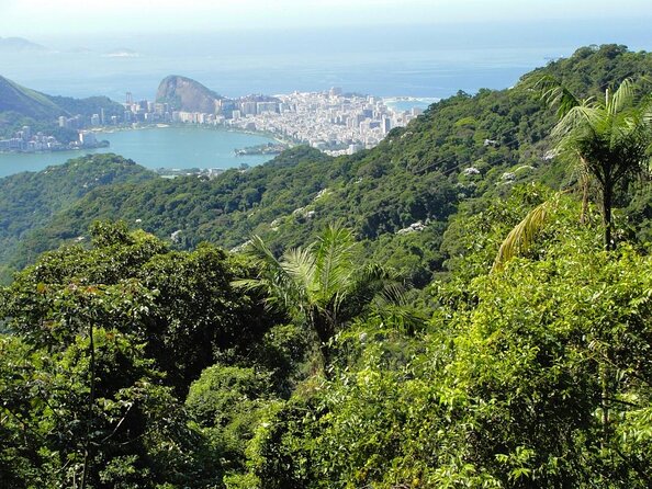 Tijuca National Park and all its wonders - Key reasons this Tijuca hike is worth your morning