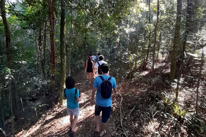Tijuca National Park and all its wonders - The morning plan: start time, meeting point, and what the rhythm feels like