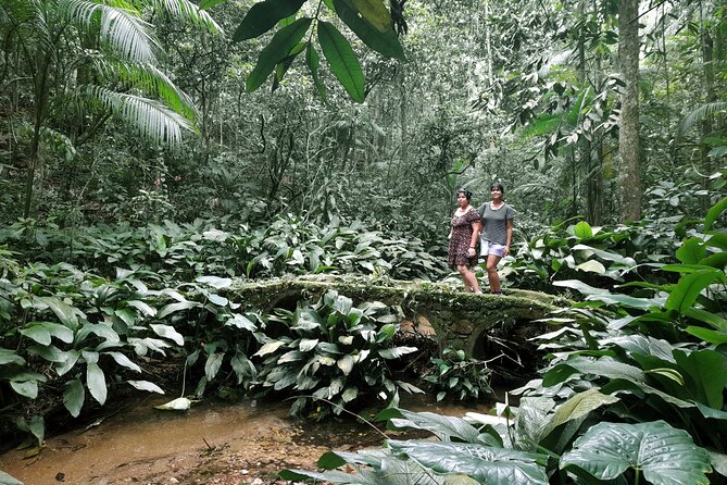 Tijuca National Park and all its wonders - Stop 2: Cascatinha Taunay—35 meters of waterfall power and bath time