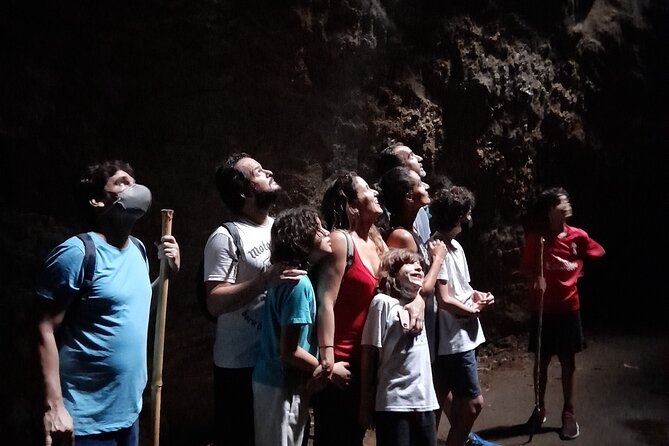 Tijuca National Park and all its wonders - Fitness level and trail reality: plan for humidity and moderate effort