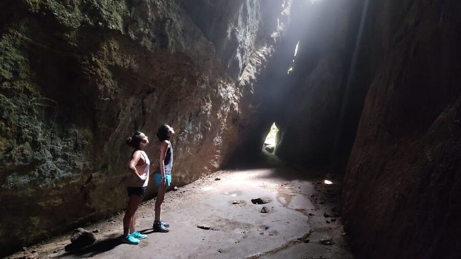 Tijuca National Park and all its wonders! - How Hard Is 6 to 12 km in Dense Forest?