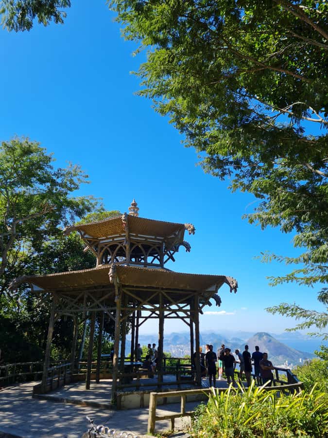 Tijuca Rain Forest - Adventure through Waterfalls & Caves - Price and what you get for about $60 per person