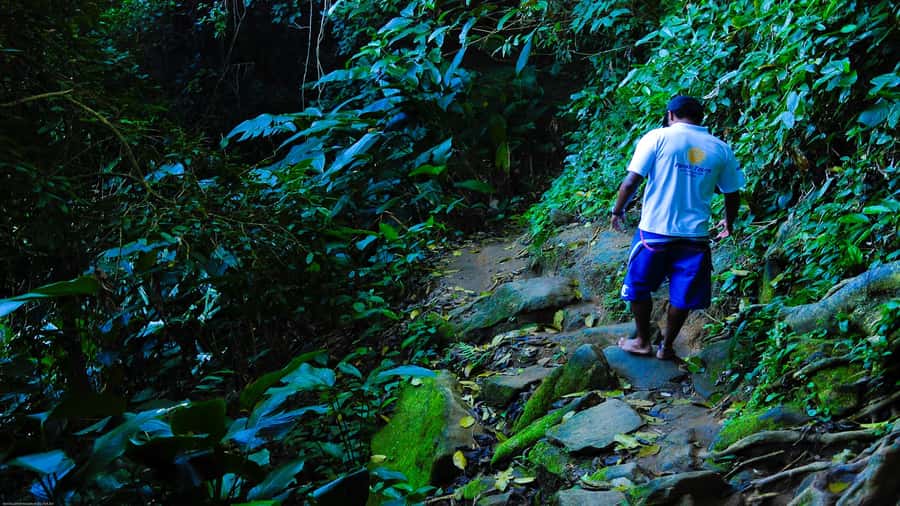 Trindade Day Trip: Nature and Sea Adventure from Paraty - Key highlights worth getting excited about