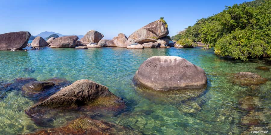 Trindade Day Trip: Nature and Sea Adventure from Paraty - Meio Beach jungle walk (about 25 minutes) and the plant-spotting angle