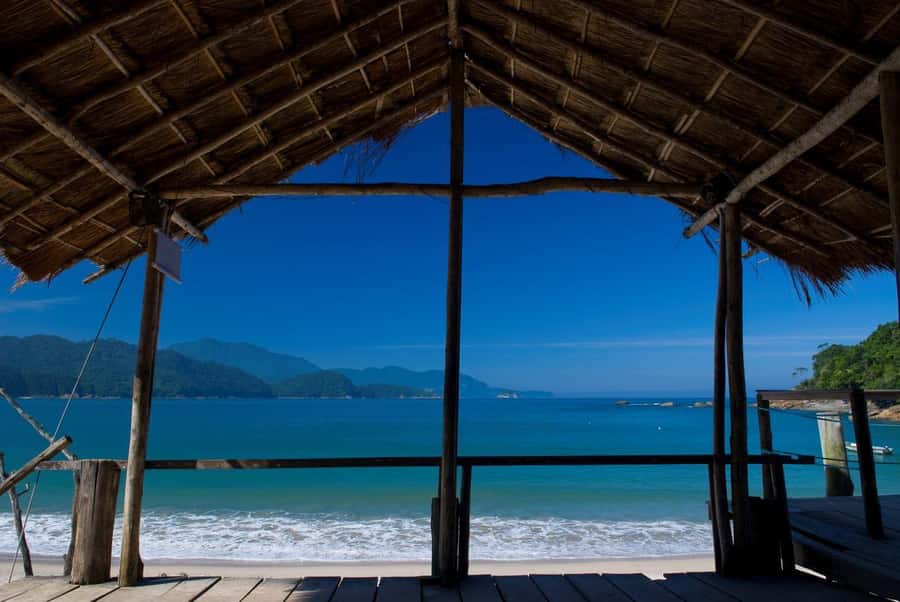 Trindade Day Trip: Nature and Sea Adventure from Paraty - What to pack for a hot sea-and-forest day