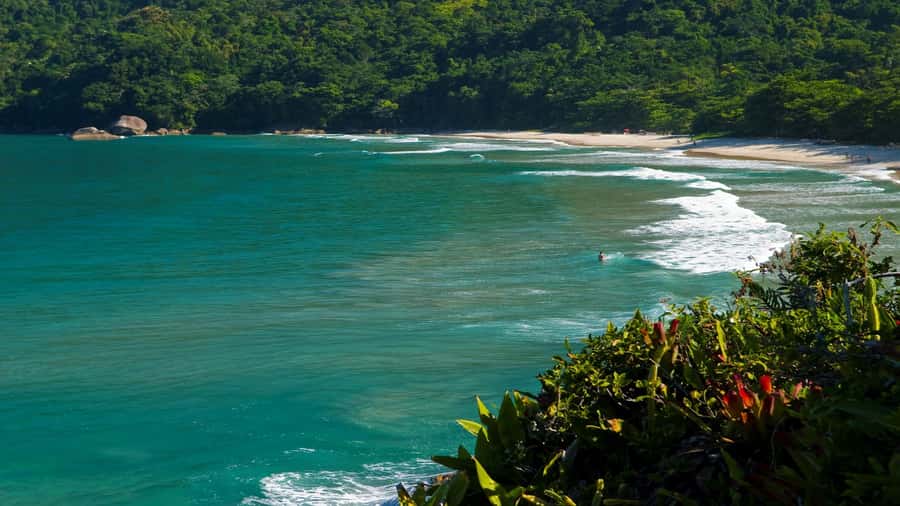 Trindade Day Trip: Nature and Sea Adventure from Paraty - Who this Trindade trip suits best